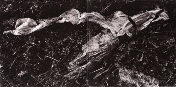 Sylvian, Czukay – Plight &amp; Premonition, Flux &amp; Mutability (2LP)